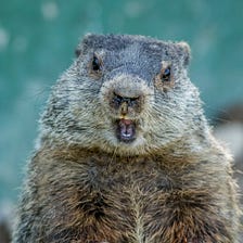 Did Groundhog Day Come Early This Year?