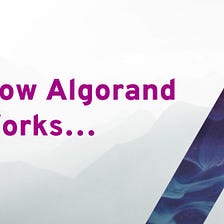 How Algorand Works…