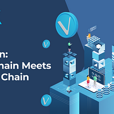 VeChain: Supply Chain Meets Blockchain — VegaX Research Report