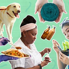 A graphic featuring two individuals, a dog, yarn, tacos, and a plant.