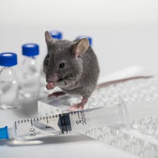 How to reducing the number of animal testing and the process the animals undergo?
