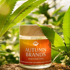Cannabis Industry Explosion: Five Industry Trends From Sustainable Cultivator Autumn Brands