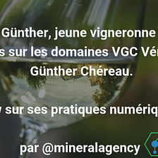 Entretien mineral #3 — Aurore Günther, vigneronne — Pratiques Numériques