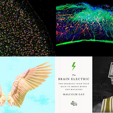 Neural Circuits, Mice Paralysis, and Octopus Intelligence: Lux Recommends #304