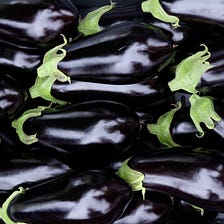 Eggplant Planting Guide