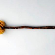 The Disgusting Roman Toilet Brush for a Butt Caused Spread of Diseases