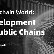 The Fast-growing Multi-chain World: Development in Public Chains