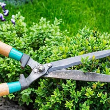 Spring Home Maintenance Checklist: Top Items to Watch