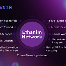 The Ethanim Network Is Continually Improving , Developing and Expanding to Realize it’s Metaverse…