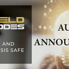 YieldNodes Annual Audit: Application & Important Information