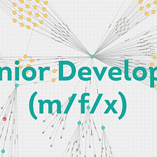 Senior Developer (m/f/x)