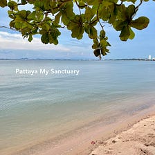 Chapter 31 : Pattaya My Sanctuary