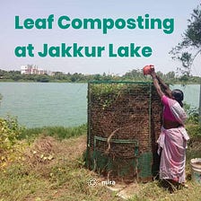 Community leaf composting