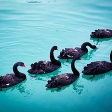Navigating the Black Swan — A lesson in leadership