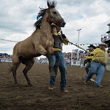 Rodeo Sizzle