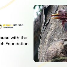 Minting for a Cause: 10% of minting proceeds will be donated to Hornbill Foundation Research