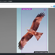 Hawk Vision — Smart Cropped Images Addon