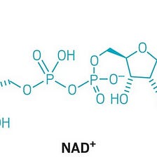 What Is NAD+ And Why Is It Important?