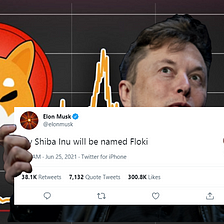 Elon Musk Adds To His Crypto Family, Shiba Inu (Shib) adds 10%