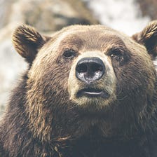 How to Keep Calm in a Bear Market