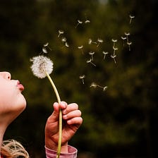 THE WIND IN THE WORLD OF DANDELIONS