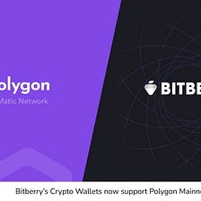 Bitberry X Polygon Announces Strategic Partnership