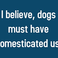 I believe, dogs must have domesticated us!