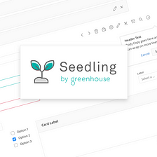 Process for growing Seedling
