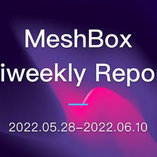 MeshBox Biweekly Report (2022.05.28–2022.06.10)