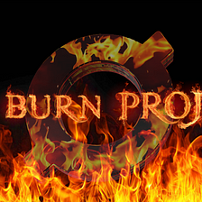OMI Burn Project