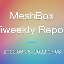 MeshBox Biweekly Report (2022.06.25–2022.07.08)