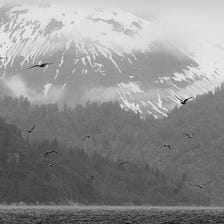 Alaskan Fog in Black and White