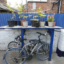 Bike shelter upcycled from an outside toilet!