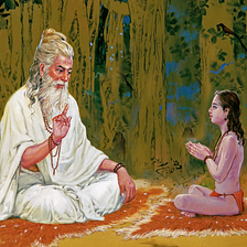 The Guru and the Seeker