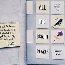 What is so bright about ‘ALL THE BRIGHT PLACES’?