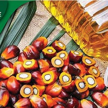 Palm oil import and price in Malaysia