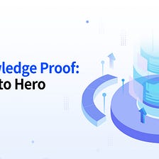 Zero-Knowledge Proof: from Zero to Hero