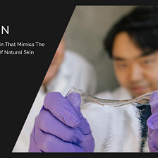 Ionic Skin | Engineering Smart Skin Product
