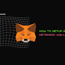 How to Setup A MetaMask Wallet