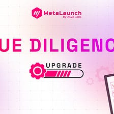 MetaLaunch IDO Screening — Project Due Diligence process