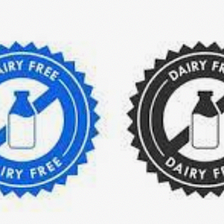 The Dairy Free Life