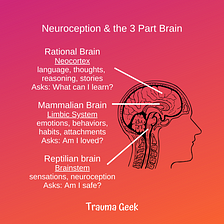 Neuroception and the 3 Part Brain