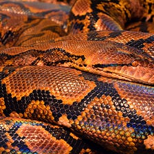 Understand Python Data Model Through Coding and Debugging