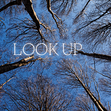 Look up! That’s where you’ll find the good stuff.