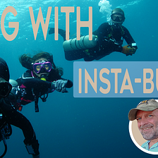 How to Scuba Dive with ‘Insta-Buddies’