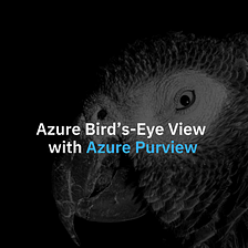Azure Bird’s-Eye View with  Azure Purview