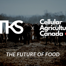 Cellular Agriculture: The Future of Food