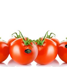 Portugal quer ser o maior fornecedor de produtos de tomate no Japão!