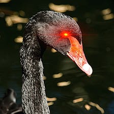 The Real Crypto Black Swan Event is Coming Now