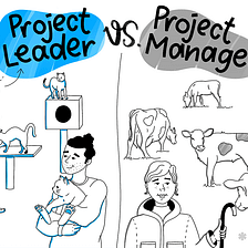 How to Go From Project Manager to Project Leader
